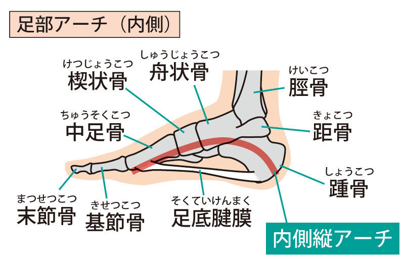 足根管症候群